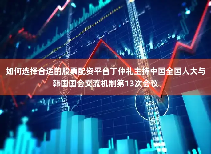 如何选择合适的股票配资平台丁仲礼主持中国全国人大与韩国国会交流机制第13次会议