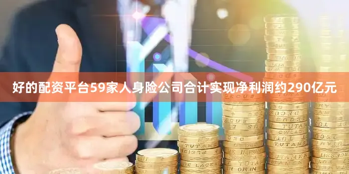 好的配资平台59家人身险公司合计实现净利润约290亿元