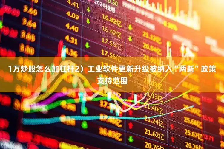 1万炒股怎么加杠杆2）工业软件更新升级被纳入“两新”政策支持范围
