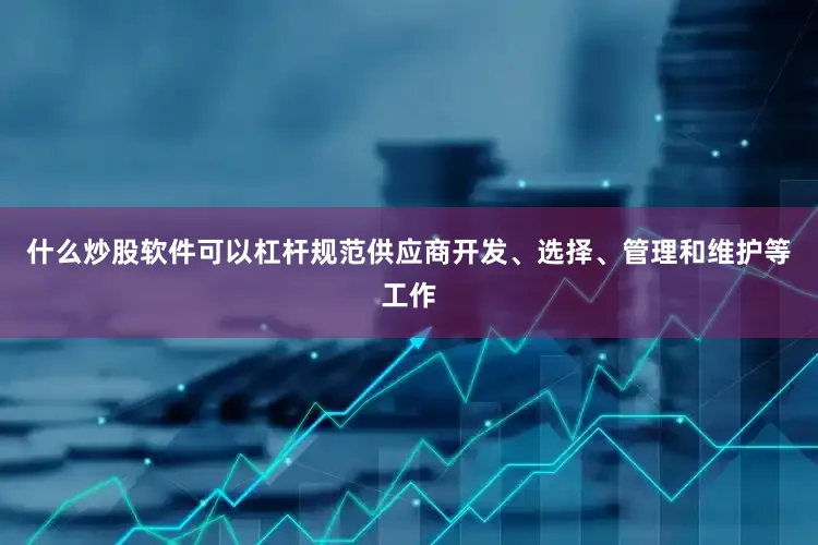 什么炒股软件可以杠杆规范供应商开发、选择、管理和维护等工作